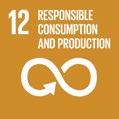 Asigurarea unor modele de consum și de producție durabile UNIUNEA EUROPEANĂ ASTĂZI IMAGINE DE ANSAMBLU/SINTEZĂ CALITATIVĂ Consumul și producția durabile au ca scop reducerea amprentei ecologice a