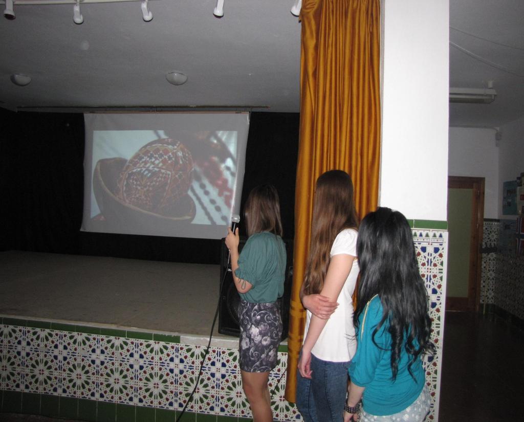 Fiecare țară participantă a prezentat colecția video despre muzică și dansuri