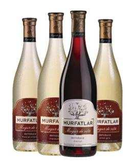 MUGUR DE VITA O colectie de vinuri proaspete, tinere, vivace, ce reuneste 4 soiuri caracteristice podgoriei Murfatlar.
