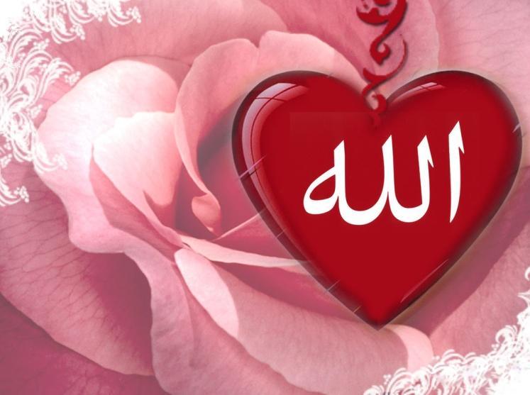 (relatat de Muslim) Iubirea pentru Allah subhana wa ta ala este foarte greu de atins şi nimeni nu va reuşi să ajungă la ea fără să depună un efort mare de a se curăţi şi a lăsa inima deschisă pentru