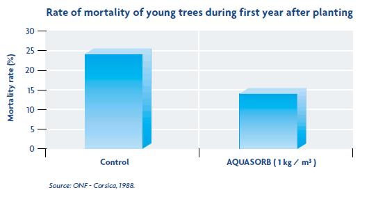 : MSIRI Mauritius, 1997 Zahar In arboricultura, AQUASORB reduce cu pana la 40% pierderile de puieti la replantarea din vara, raportat la un
