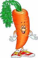 morcovii din