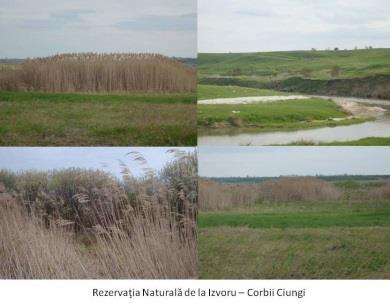 Protejarea mediului înconjurător Rezervaţia naturală de la Izvoru Corbii Ciungi Prof.