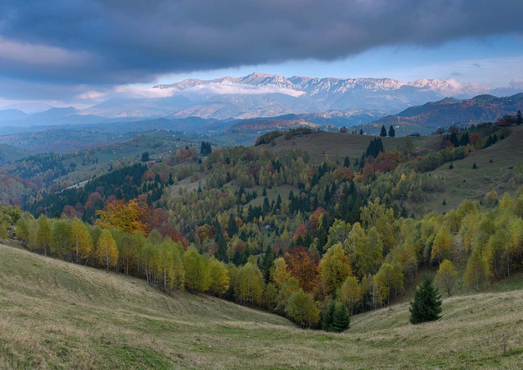 De aici, peisajul devine panoramic cu vedere atât spre Munții Bucegi cât și spre Munții Piatra Craiului.