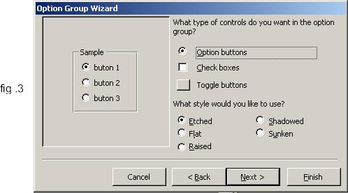 9. În ultimul ecran, tastaţi o etichetă pentru noul control. După aceea, executaţi clic pe Finish. Noul dvs. control de opţiune apare în zona de grilă din formular.