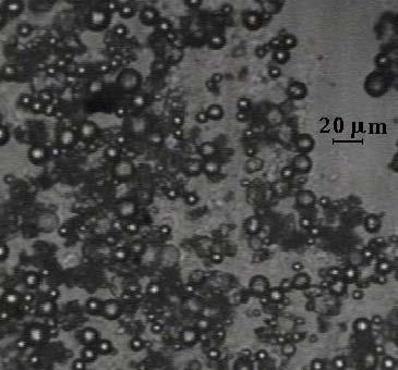 Rezultatele obtinute arata capabilitatea procedeului elaborat de INCEMC de a sintetiza pulberi nanocistaline pe baza de TiO2 cu dispersie granulometrica controlata.