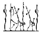 6. Semisfoara 7. Săritură dreaptă cu întoarcere 180 0 8. Săritură cu ridicarea genunchilor la piept (grupată) 9. Săritură passé 1. Podul de jos (variante) Valoare 2 puncte 2.