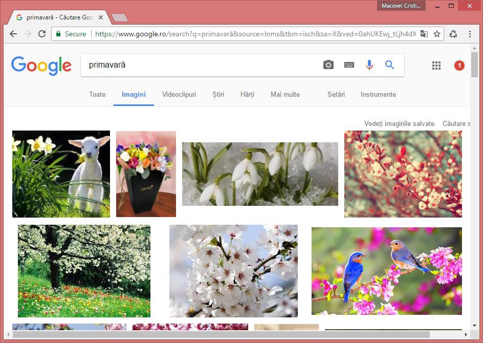 Pentru căutarea imaginilor pe Internet, accesați secțiunea Images (Imagini) a ferestrei de căutare