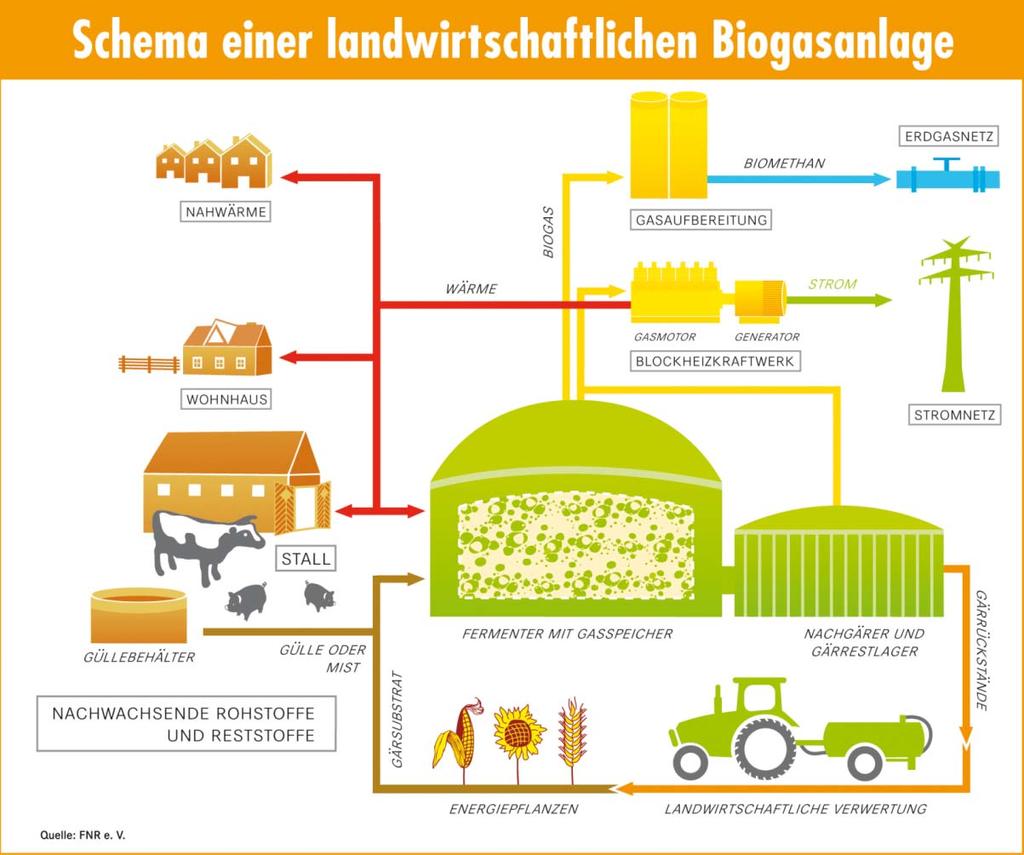 Informaţii de bază cum ia naştere biogazul?