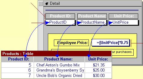 Etichetele afişează un text descriptiv. Vederea Design Casetele de text se pot folosi pentru afişarea şi introducerea datelor într-o tabelă.