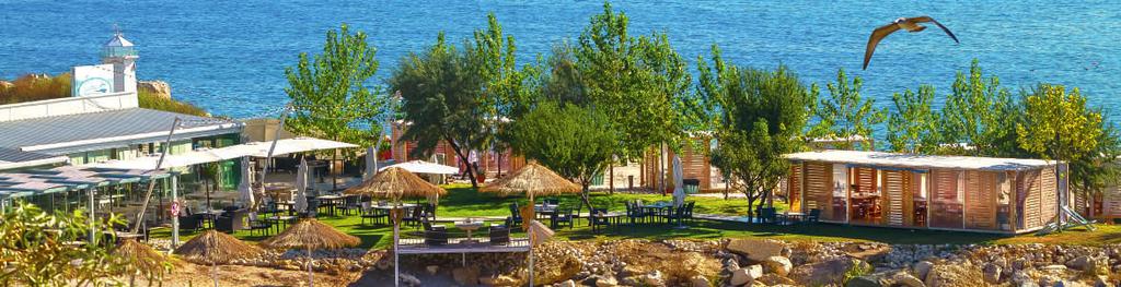 Situat pe plaja Agigea, departe de forfota civilizației urbane, restaurantul are atitudine mediteraneeană și păstrează tradiția