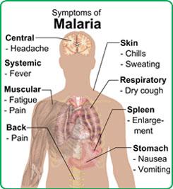 istoricul epidemiologic al pacientului cu malarie suspectată