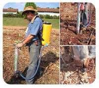 Utilizari Arboricultura AQUASORB este eficient la plantarea copacilor, face posibila reducerea pierderilor datorate socului la transplantare si favorizeaza dezvoltarea radacinilor, ceea ce conduce la