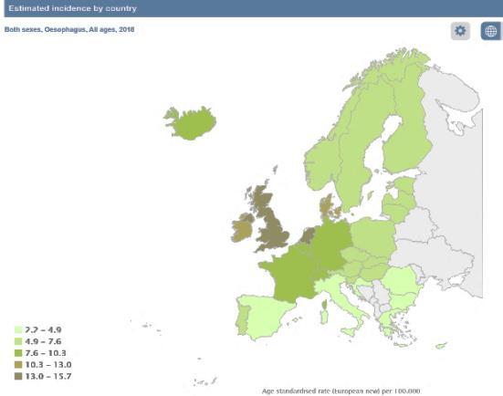 Fig. 2.2. Mortalitatea determinată de cancerul esofagian la nivel mondial. Sursa GLOBOCAN 2018 Cancerul esofagian ocupă locul 19 în Uniunea Europeană (UE) din punct de vedere al incidenței (48.