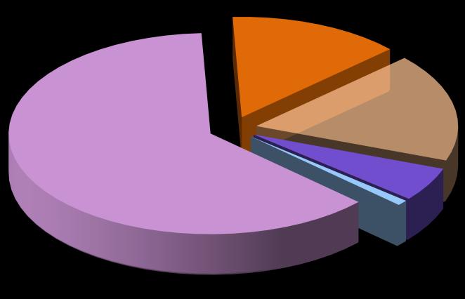 72% Consum clienţi finali noncasnici: 1285,14 GWh Cotele de piaţă ale FUI