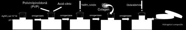 Fluxul tehnologic de obținere într-o etapă a hidrogelurilor (multi)funcționale pe bază de colagen și nanoparticule de Ag Caracterizarea hidrogelurilor (multi)funcționale În scopul cuantificării