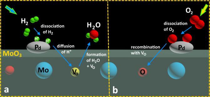 Fig. 6. Ilustrarea mecanismului fizico-chimic de sesizare a H 2 pe baza generării vacanțelor de oxigen: (a) în urma expunerii la atmosfera de hidrogen; (b) în urma expunerii la aer.