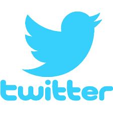 EXEMPLU: TWITTER Exemplu: fluxuri de venituri Twitter - Licențierea