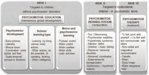 Nicolae Neagu Rigal (2004); Rigal (2007) describes three main axes of intervention in the psychomotor education of the child, as follows: Psychomotor education the development of intelligence through