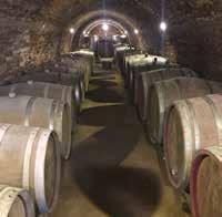 În prezent crama are aproximativ 200 mp şi se produc anual aproximativ 6000 L de vin.