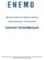 Raport intermediar, ENEMO, 4 februarie 2019